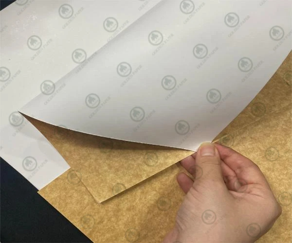 How to Choose the Most Suitable Carton Packaging?