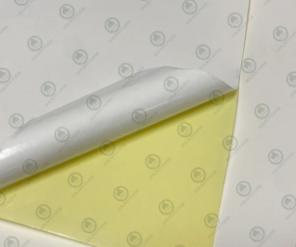 Unique Features of Coloured Glassine Paper