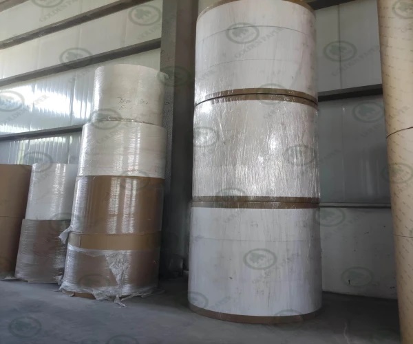 Liquid Packaging Board: Dressing Food in a Safe Armor