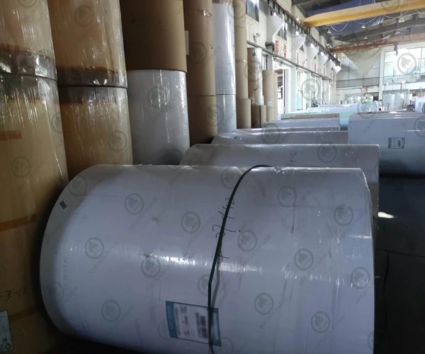 Differences Between Release Paper and PE Coated Paper