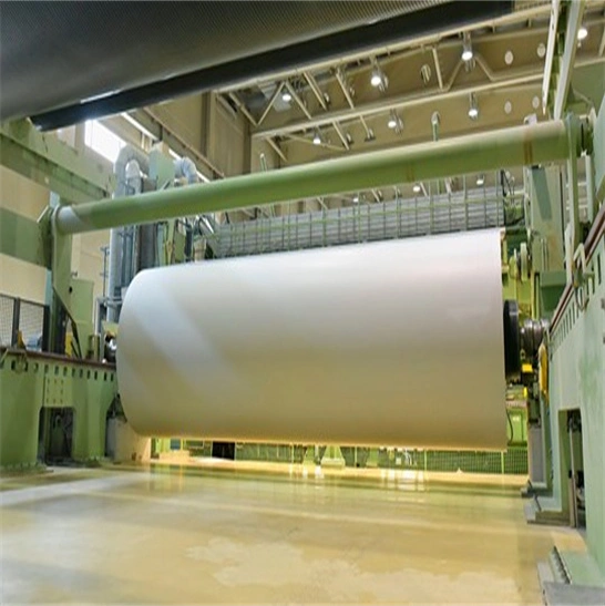 paper board factory