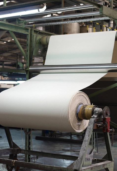 Forecast of The Three Major Trends In China's Paper Industry In 2024