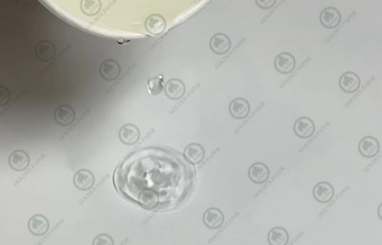 Introducing Wet-Strength Paper: A Breakthrough for Food Packaging Solutions