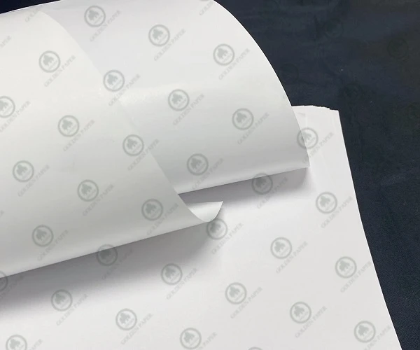 Why Is Lightweight Coated Paper So Popular?