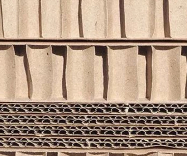 Five Reasons for Paper Bending and Warping