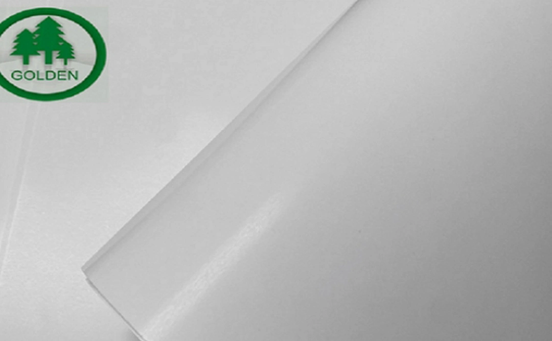 Similarities and Differences Between Golden Paper LWC and C2S Art Paper