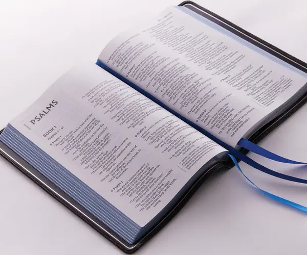 What Is Bible Paper?