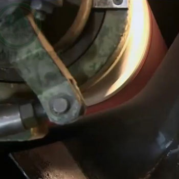 Clean, Safe, and Oil-Free — with Golden Paper’s Greaseproof Paper!