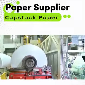 Uncoated Cupstock Base Paper | GOLDEN PAPER