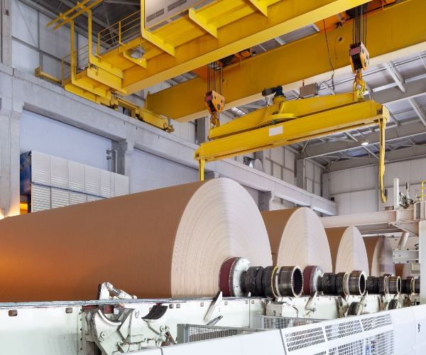 What Are the Raw Materials Used in Papermaking?