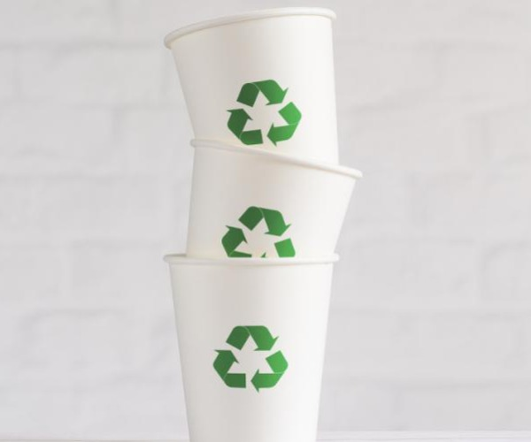 A Complete Guide to Types of Paper Used in Food Packaging