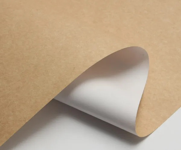 Why CKB Is Becoming Increasingly Popular