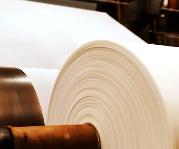 What is the Difference Between Pulp and Paper？