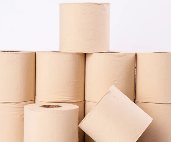 Bamboo Pulp Supply and Quality Control System