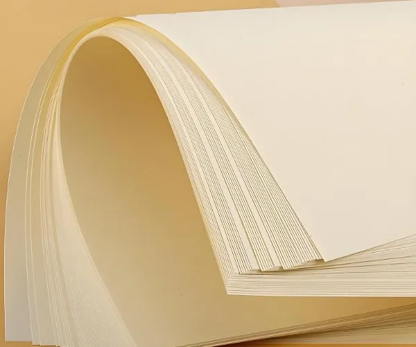 What is Woodfree Paper and the Benefits?