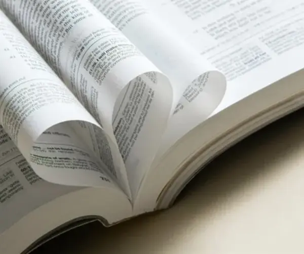 Bible Paper vs. Regular Paper