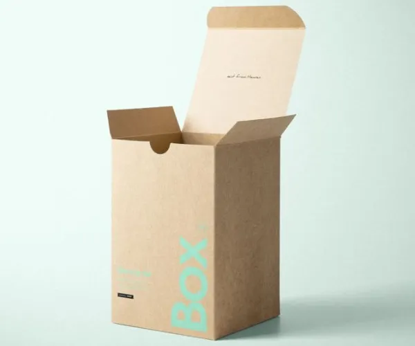 Kraft Paper vs. Duplex Board: Understanding the Key Differences