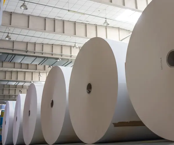 China Tightens Regulations on Recycled Pulp Imports, Shaking Up the Global Fiber Market