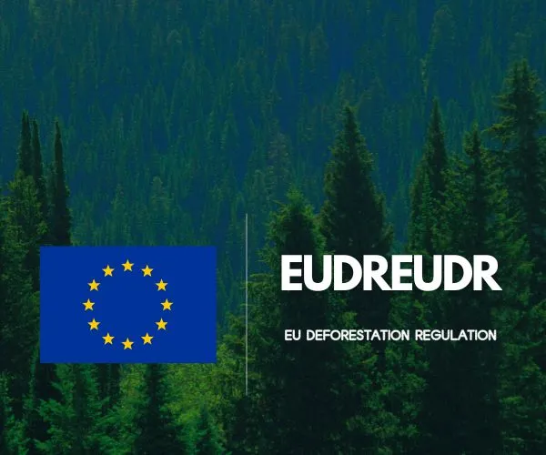 How the EUDR Is Reshaping the Paper Industry: 100% Recycled Paper Gets an Exemption