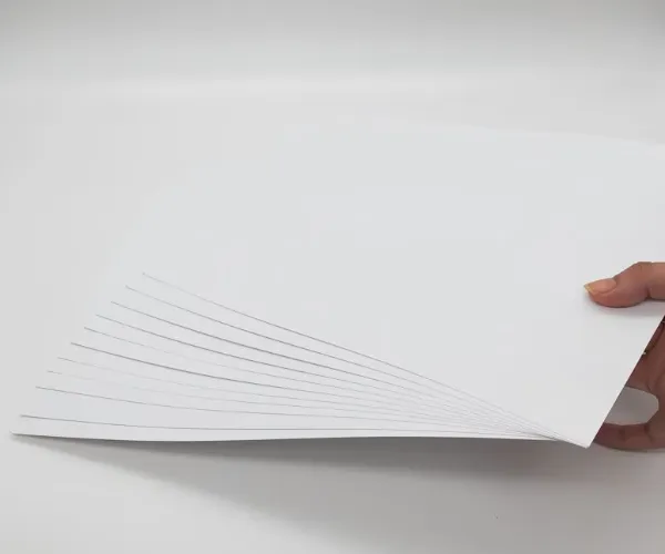 Why Coated Paper Is Popular in Printing