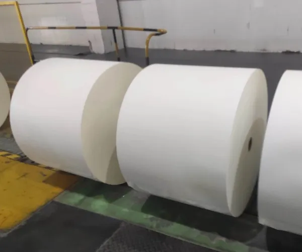Complete Guide to Paper Export Packaging: Pallet Packs, Ream Packs, and Paper Rolls