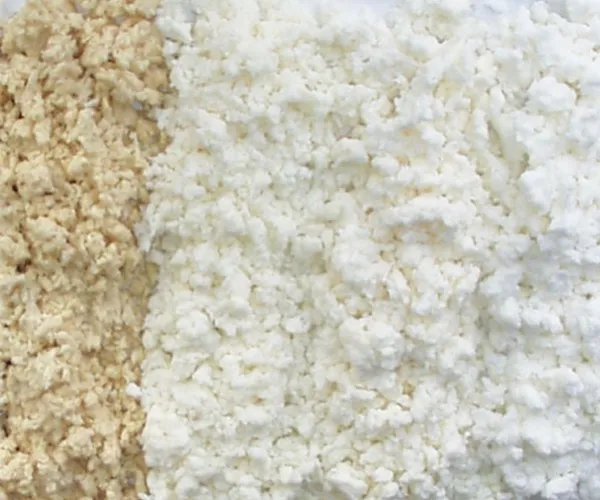 A Complete Guide to Pulp Types and Their Uses