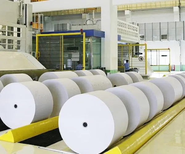 Golden Paper View: Import Declines Highlight the Advantages of Mill-Based Suppliers