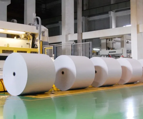 Global Regulatory Tightening Accelerates Green Upgrading in the Paper Industry