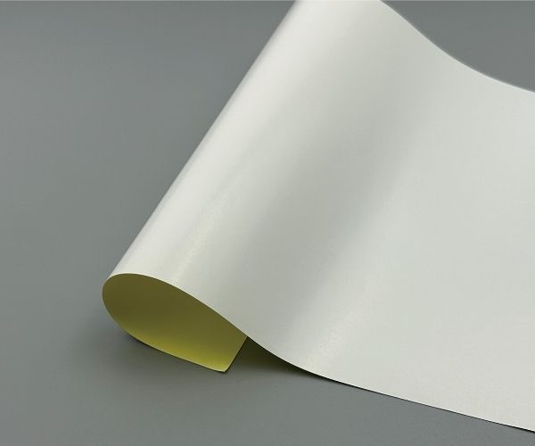 C1S_paper.jpg C1S_paper.jpg