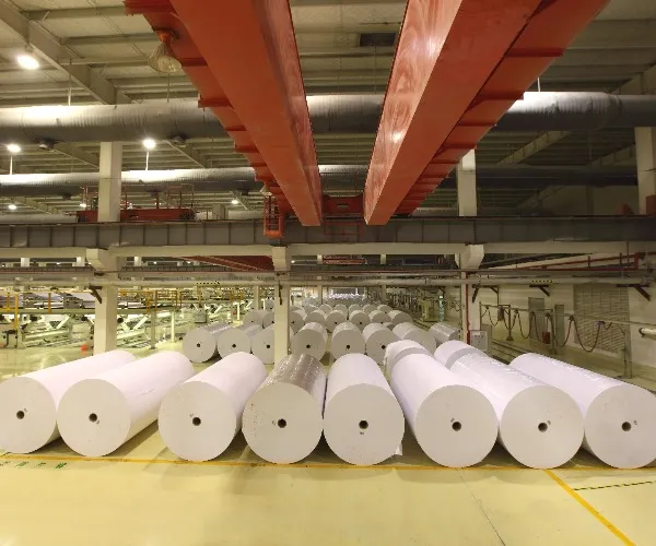 Europe Slows, Packaging Holds: 2025 Industry Insight