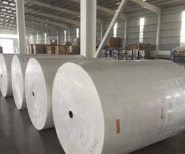 International Paper Split: What It Means for Global Packaging Supply Chains