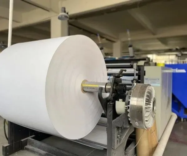 Packaging Paper Market Enters a Phase of Consolidation