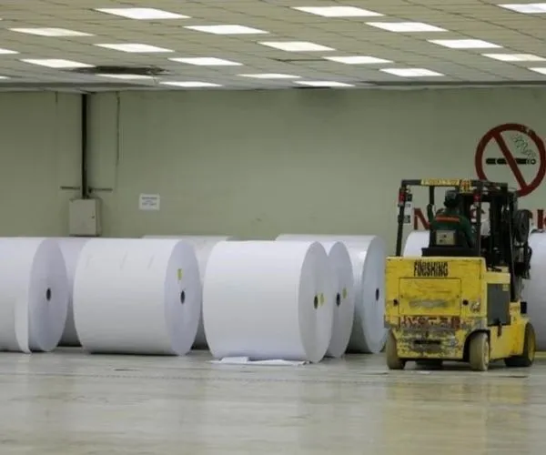 Global Pulp and Paper Price Increase 2026: Cost Pressure and Supply Chain Insights