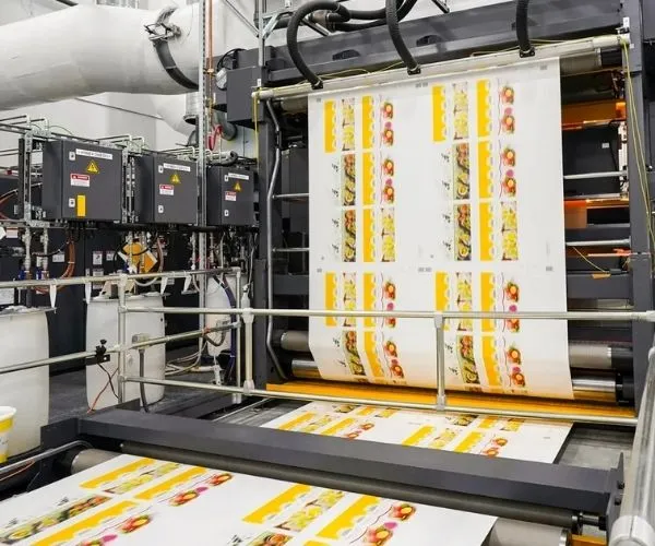 Latin America Packaging Market Trends and Paper Demand Analysis