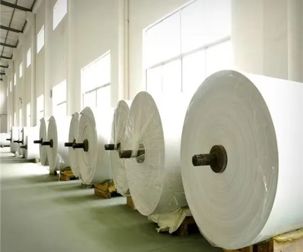 Global Pulp Market 2026: Structural Shift with Tighter Supply and Uneven Demand