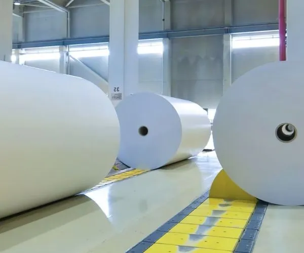 Mexico Packaging Industry Enters a New Development Stage in 2026