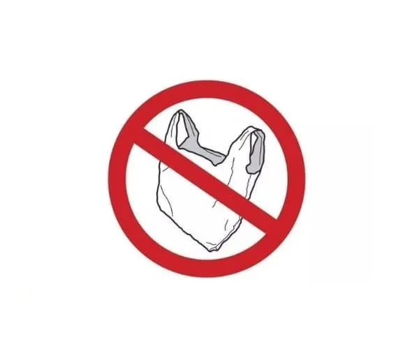 Global Plastic Bans Are Accelerating the Shift Toward Paper Packaging