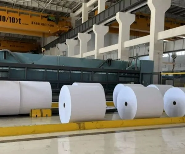 2026 Coated Paper Market Outlook