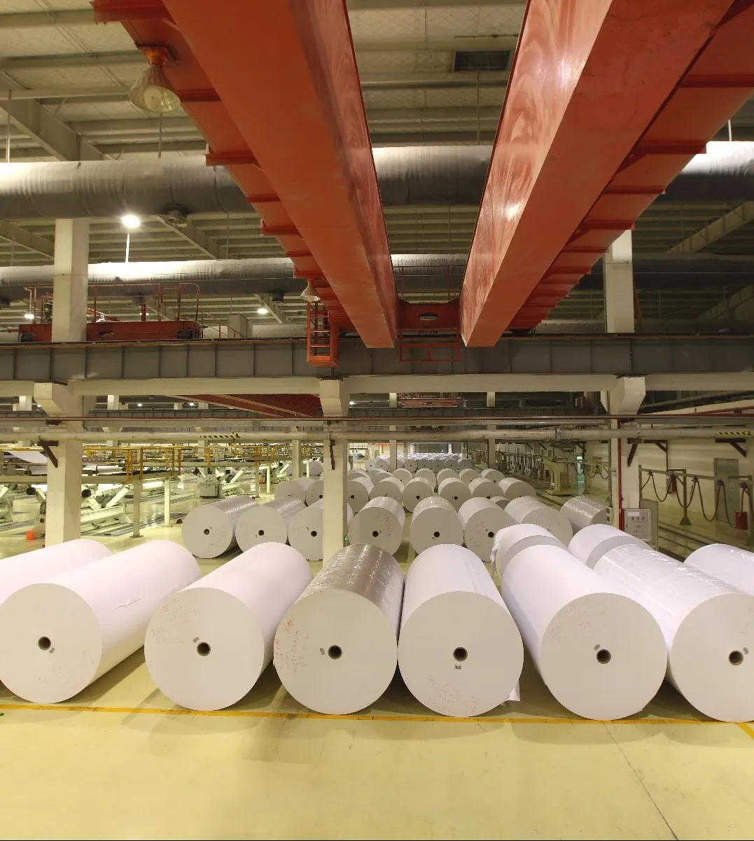 Why Choose Bulk Paper Products from Golden Paper?