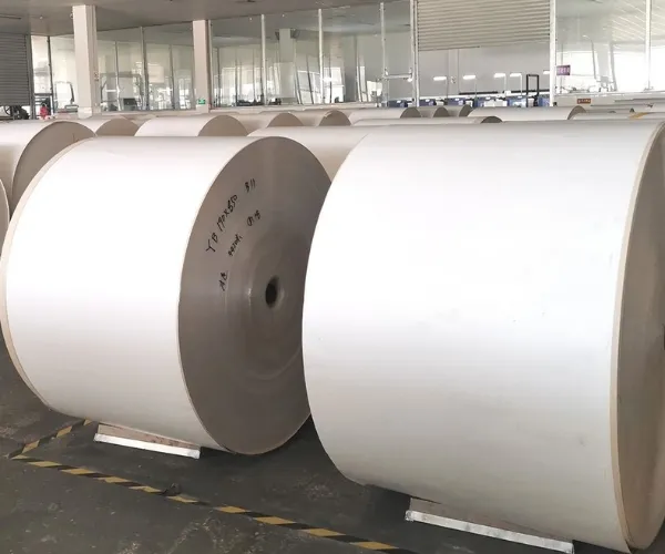 Cupstock Paper Supplier for Middle East Food Packaging Market