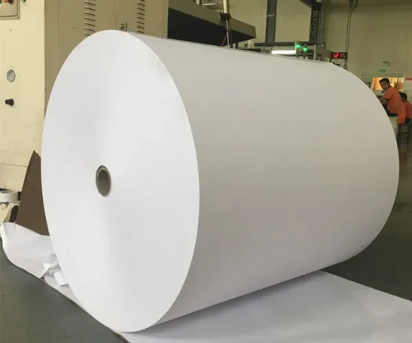 Green Compliance Is Reshaping the Paper Industry in 2026