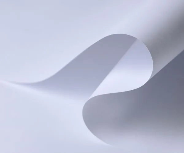 Chinese Specialty Papers Gain Ground in Overseas Printing Markets