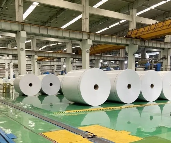 5 Pulp Market Developments Paper Buyers Should Watch in Q4 2026