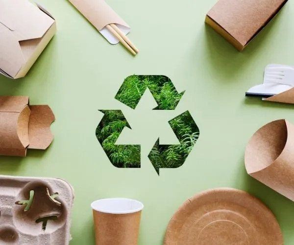 PPWR and Paper Packaging: What Should Exporters Prepare in 2026?