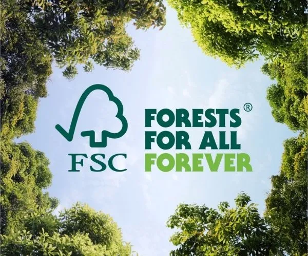 FSC vs. EUDR: What Is the Difference for Paper Buyers?